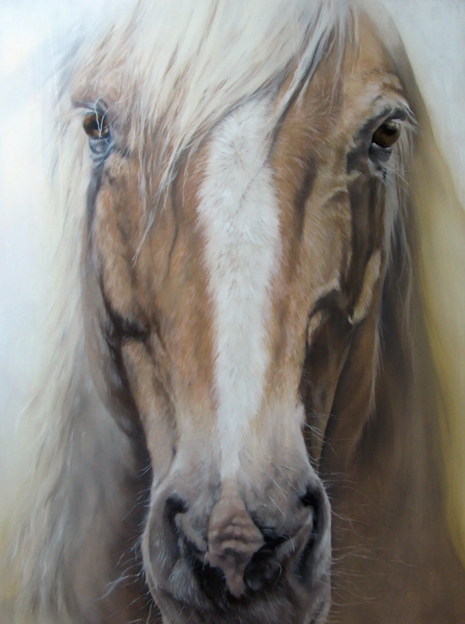 Palomino