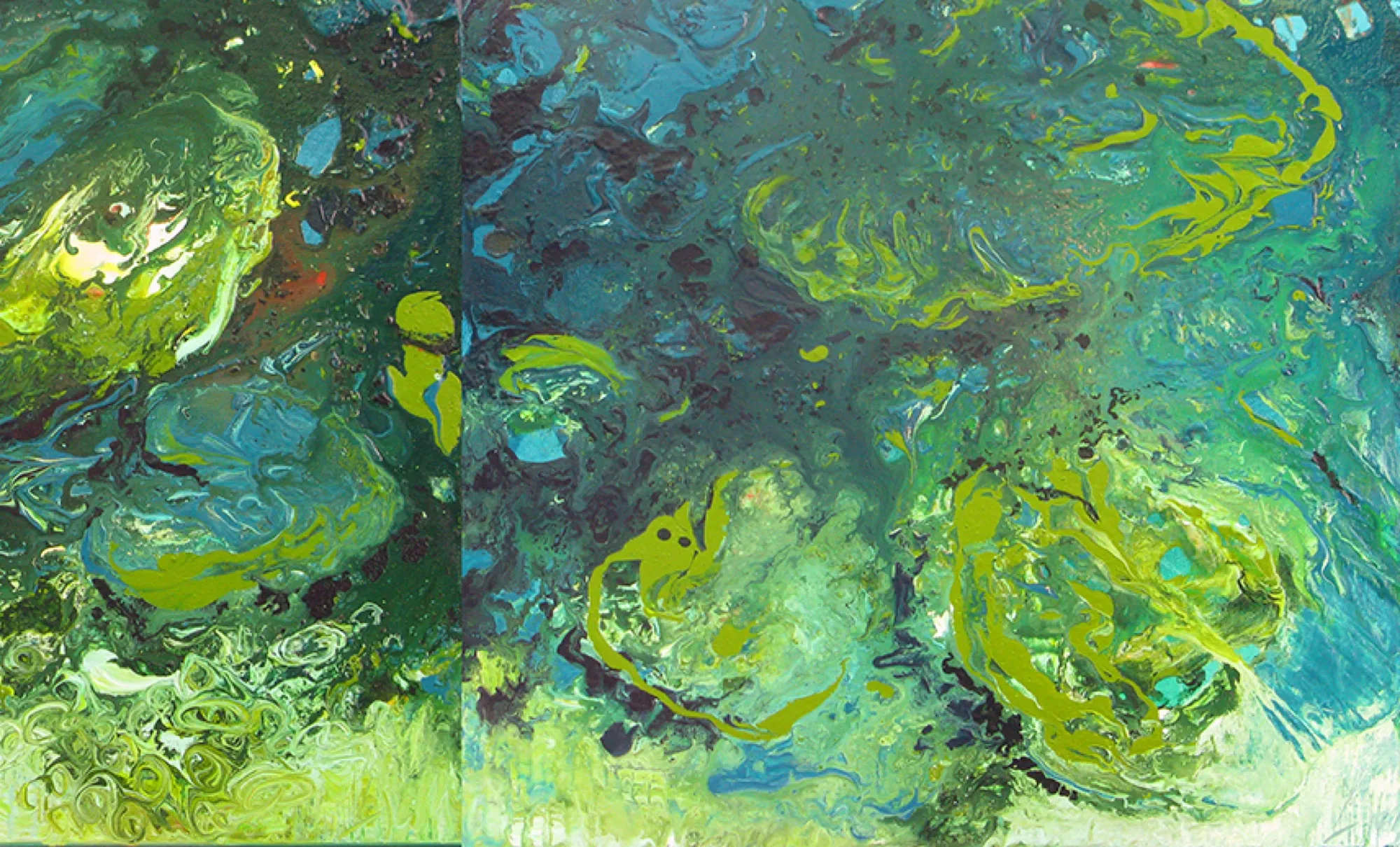 Waterlilies — view 2