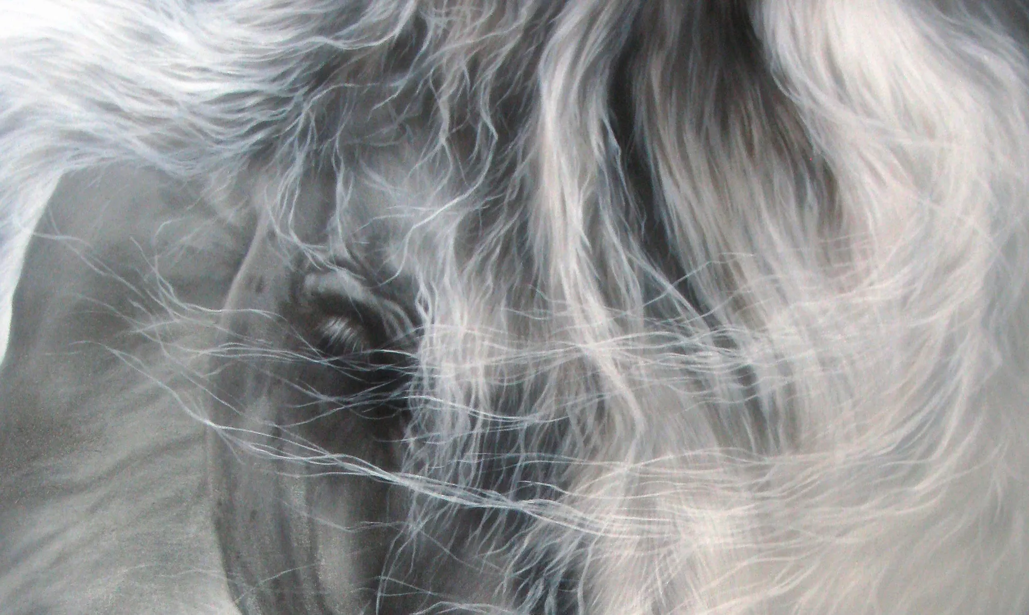 Silver — view 2